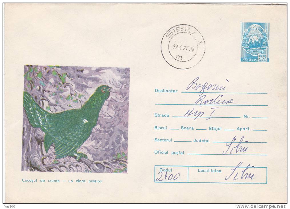 MOUNTAIN COCK, PRECIOUS HUNTING, 1975, COVER STATIONERY, ENTIER POSTAL, SENT TO MAIL, ROMANIA - Cuckoos & Turacos