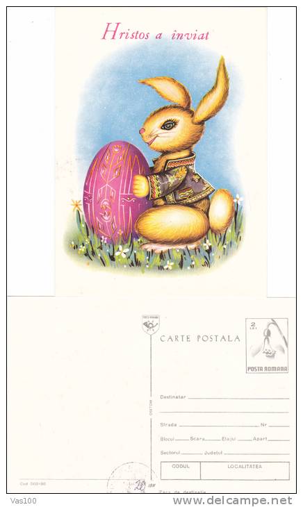 JESUS HAS RESURECTED, RABBIT, EASTER, 1990, CARD STATIONERY, ENTIER POSTAL, UNUSED, ROMANIA - Easter