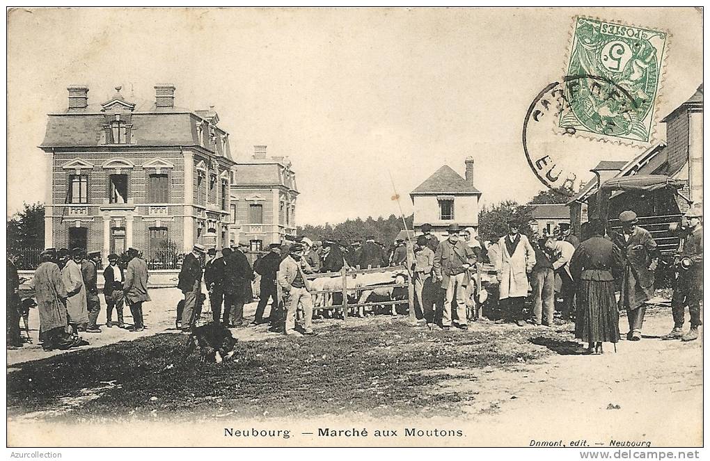 MARCHE AUX MOUTONS - Le Neubourg