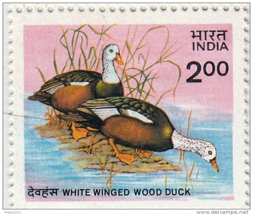 INDIA-1985- Rare Bird Stamp- White Winged Wood Duck- MNH ( SG 1159)-Oiseau Rare Timbre Blanc à Ailes De Canard Branchu- - Anatre