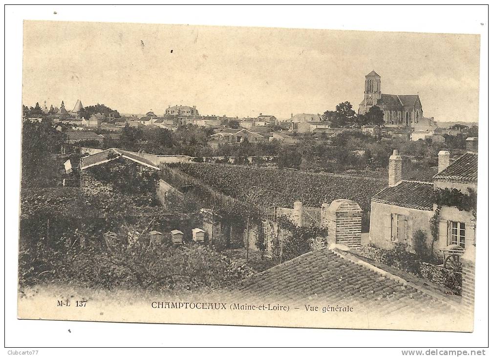 Champtoceaux (49) : Vue  Générale Sur Les Ruches D'un Domaine Dans Les Faubourgs  En 1910 RARE. - Champtoceaux