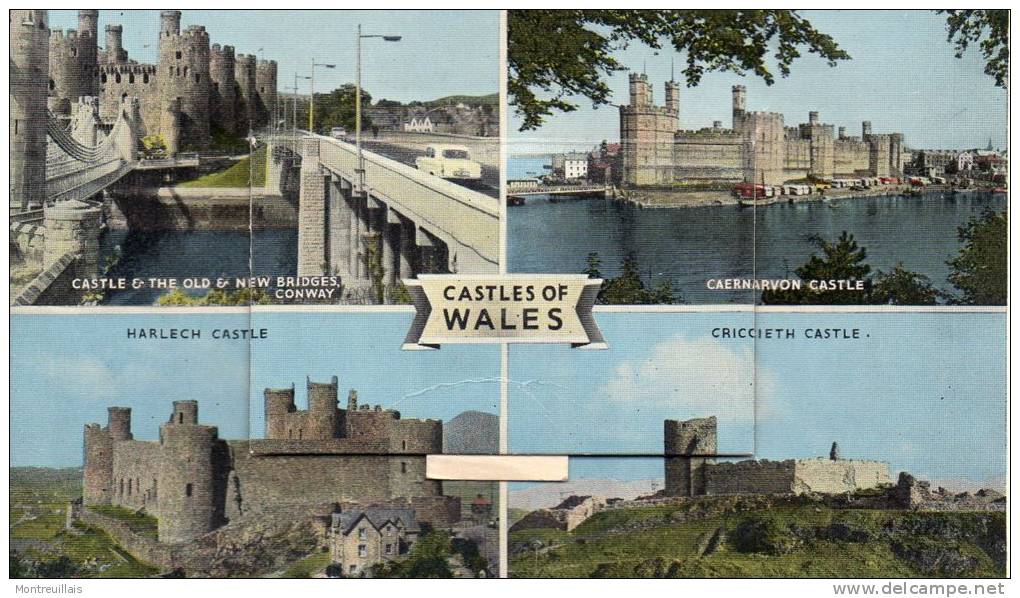 PAYS De GALLES, Casles Of Wales, Multivues, écrite, Non Timbrée, Carte A Système, 12 Petites Photos - Sonstige & Ohne Zuordnung