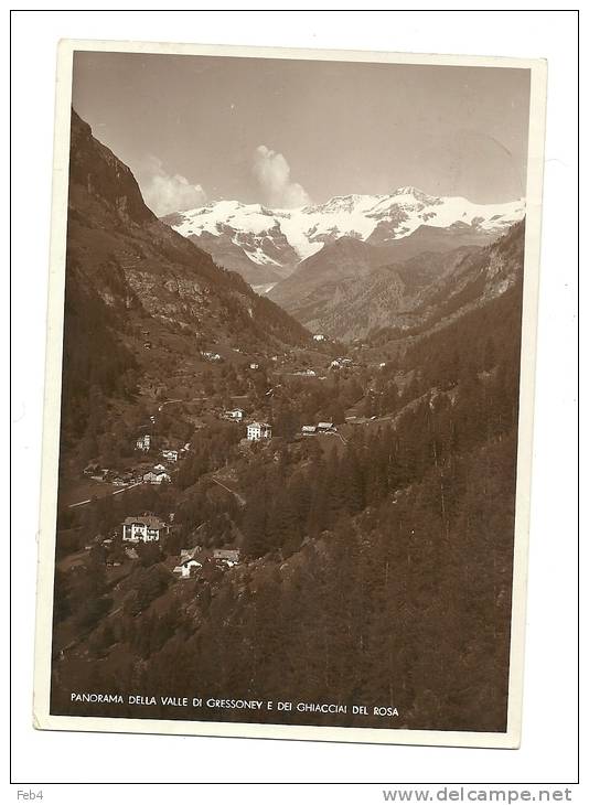 PANORAMA DELLA VALLE DI GRESSONEY E DEI GHIACCIAI DEL ROSA -  VIAGGIATA  1938   *(val710) - Altri & Non Classificati