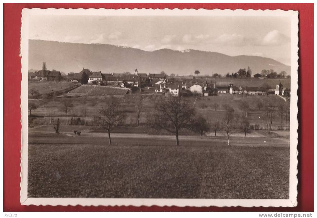 X0564 Colombier, Vue Générale. Circulé. - Colombier