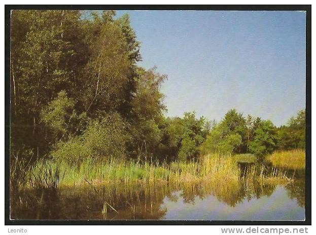 Waldweiher Bei PFYN TG Naturreservat Frauenfeld 1978 - Frauenfeld