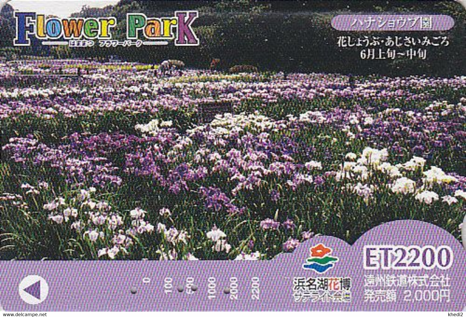 Rare Carte Prépayée JAPON - Fleur IRIS - Flower Park Japan TE Bus Card  - Blume Prepaid Karte - 1406 - Fleurs