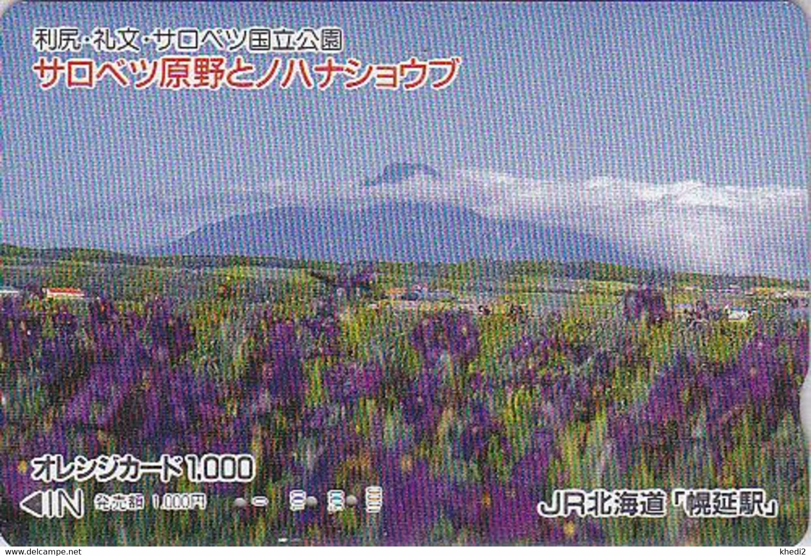 Rare Carte Orange JAPON - Fleur IRIS & Mont Fuji - Flower JAPAN Prepaid JR Train Card  - Blume Karte - 1409 - Montagnes