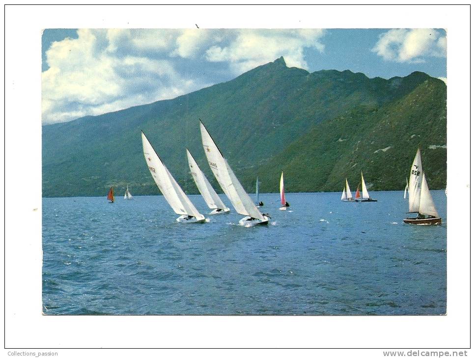 Cp, Voile, Régates à Voiles Sur Le Lac Du Bourget (73) Et La Dent Du CHat, Voyagée 1978 - Vela