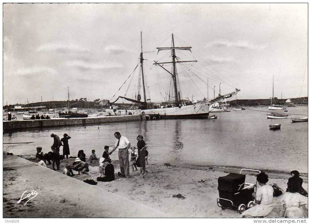 DPT 56 LA TRINITE SUR MER Le Port - La Trinite Sur Mer