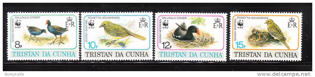 Tristan Da Cunha 1991 Worldwide Fund For Nature WWF Birds Bird MNH - Tristan Da Cunha