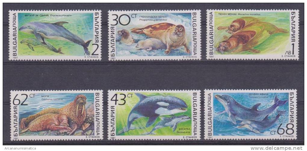 BULGARIA 1.991  Lote 6 Sellos "MAMIFEROS MARINOS"    Ballenas-Delfines Nuevos   S-170 - Dolphins