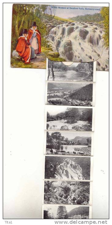 D6348  -  Welsh Women At Swallow Falls, Bettws-y-coed " Carte à Système" - Autres & Non Classés
