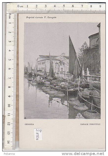 PO2750# VENEZIA - CHIOGGIA - CANALE PEROTTOLO - PESCA VONGOLE  No VG - Chioggia