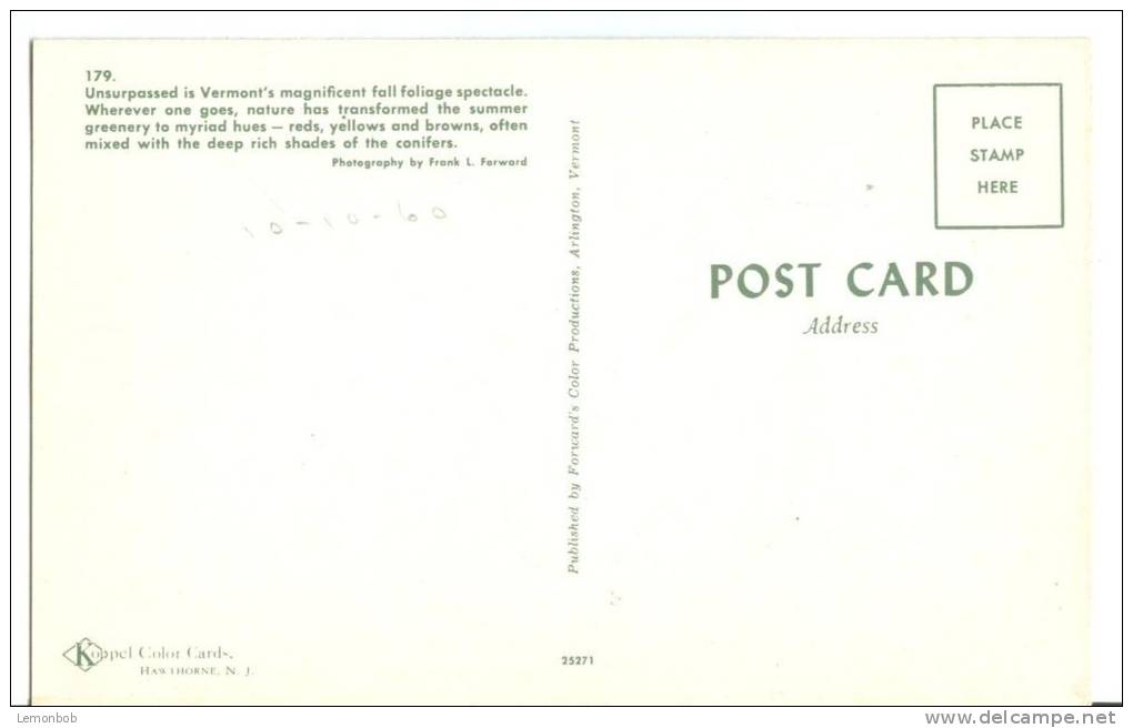 USA, Fall In Vermont, 1960 Dated, Unused Postcard [P8180] - Other & Unclassified