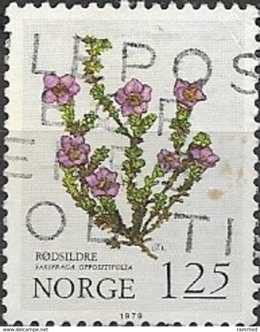 NORWAY 1979 Flowers - 1k25 Purple Saxifrage ("Saxifraga Oppositifolia")  FU - Oblitérés