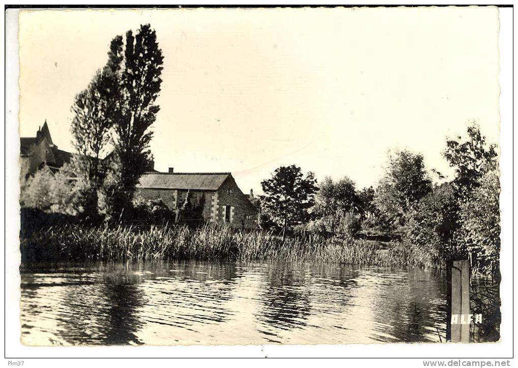 AZAY SUR INDRE - Bords De L'Indre - Otros & Sin Clasificación