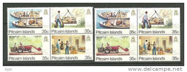 ILE PITCAIRN. Transport Du Courrier Dans L´ile. 2 Series En 2 Blocs De 4 Neufs  ** , 1 ère Qualité. - Pitcairn Islands