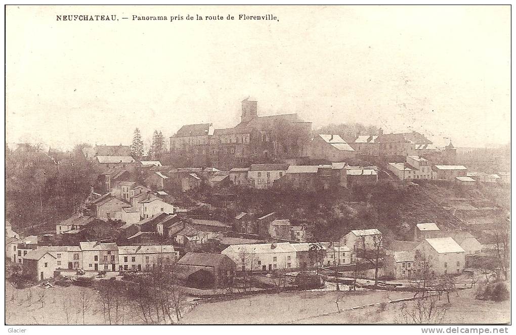 NEUFCHÄTEAU - Panorama Pris De La Route De Florenville - Neufchâteau