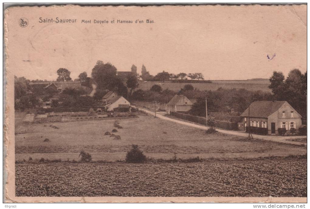 Saint Sauveur  Mont Doyelle Et Hameau D'en Bas  ( Voir Oblitération ) - Frasnes-lez-Anvaing