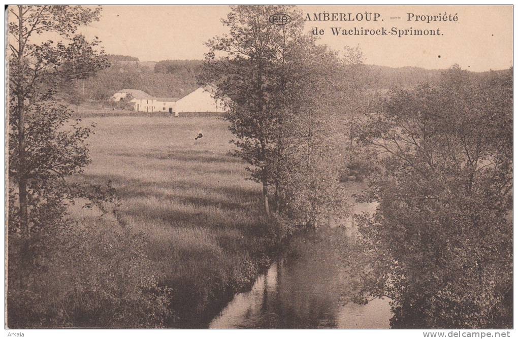 Amberloup - Sprimont -1931 - Sonstige & Ohne Zuordnung
