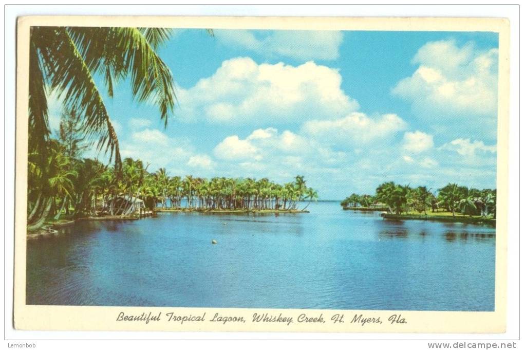 USA, Beautiful Tropical Lagoon, Whiskey Creek, Ft. Myers, Florida, Unused Postcard [P8230] - Fort Myers
