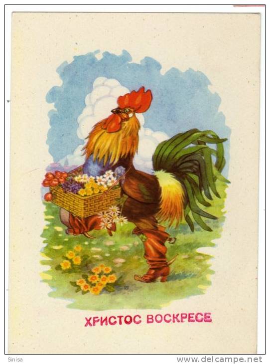 Animals And Fauna / Rooster / Cock / Coq / Postcard - Gallinacées & Faisans