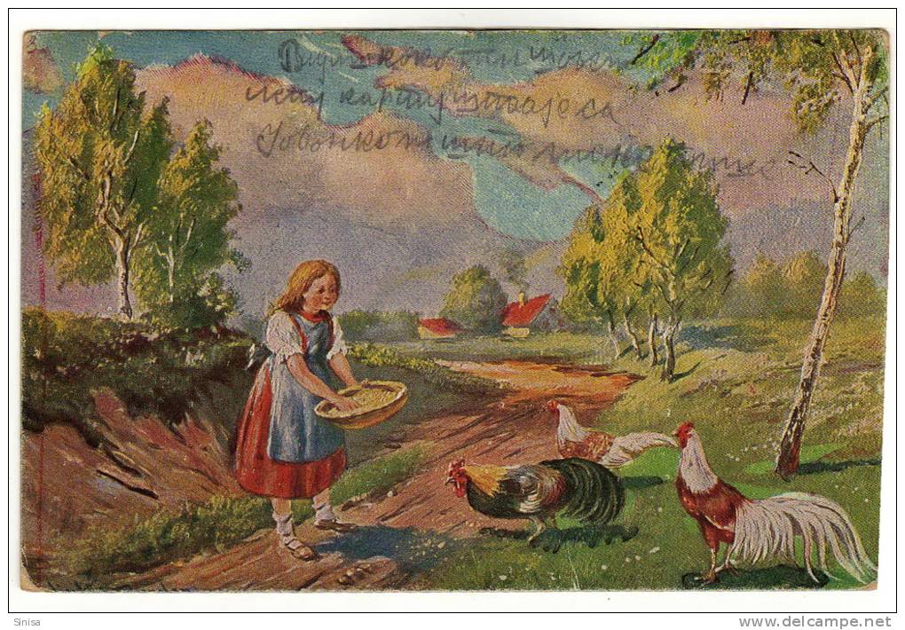 Animals And Fauna / Rooster / Cock / Coq / Postcard - Gallinacées & Faisans