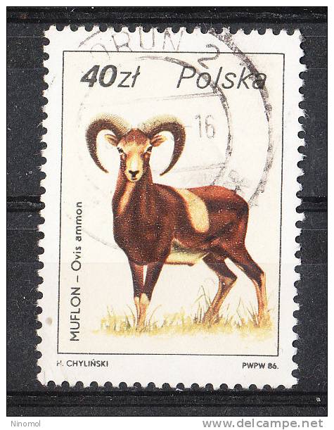 Polonia    -   1986.  Muflone.  Mouflon. - Game