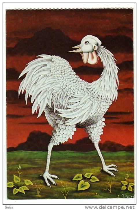 Animals And Fauna / Rooster / Cock / Coq / Postcard - Gallináceos & Faisanes