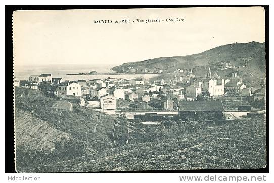 66 BANYULS SUR MER / Vue Générale Coté Gare / - Banyuls Sur Mer