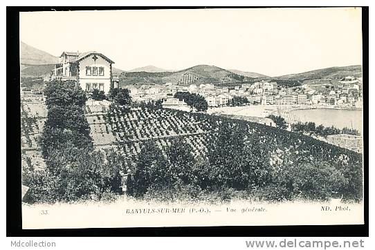 66 BANYULS SUR MER / Vue Générale / - Banyuls Sur Mer