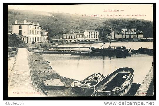 66 BANYULS SUR MER / Aquarium Et Bassin D'expérience / - Banyuls Sur Mer