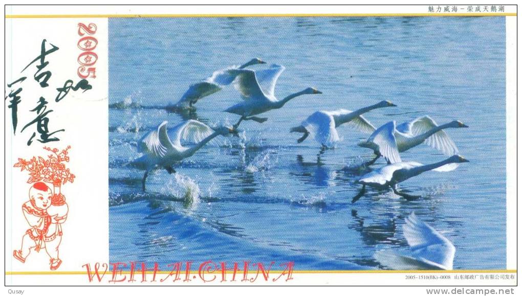 Birds Swans  ,     Prepaid Card Postal Stationery - Cygnes
