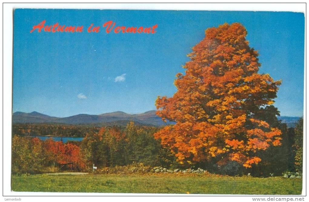 USA, Autumn In Vermont, Unused Postcard [P8246] - Other & Unclassified