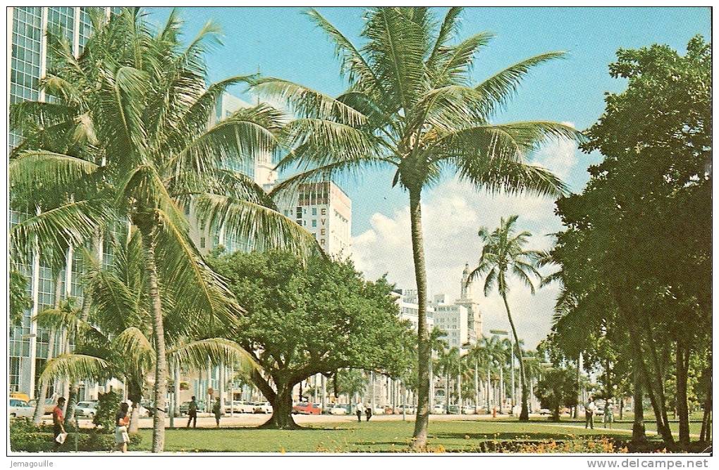 Looking From Bayfront Park At Biscayne Blvd. Heart Of Miami, Florida - S-2 - Miami