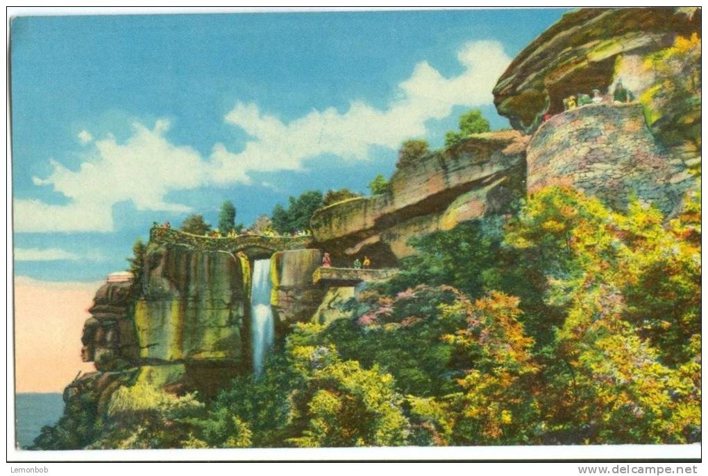 USA, Lover's Leap, High Falls, Lookout Mountain, Unused Postcard [P8263] - Chattanooga