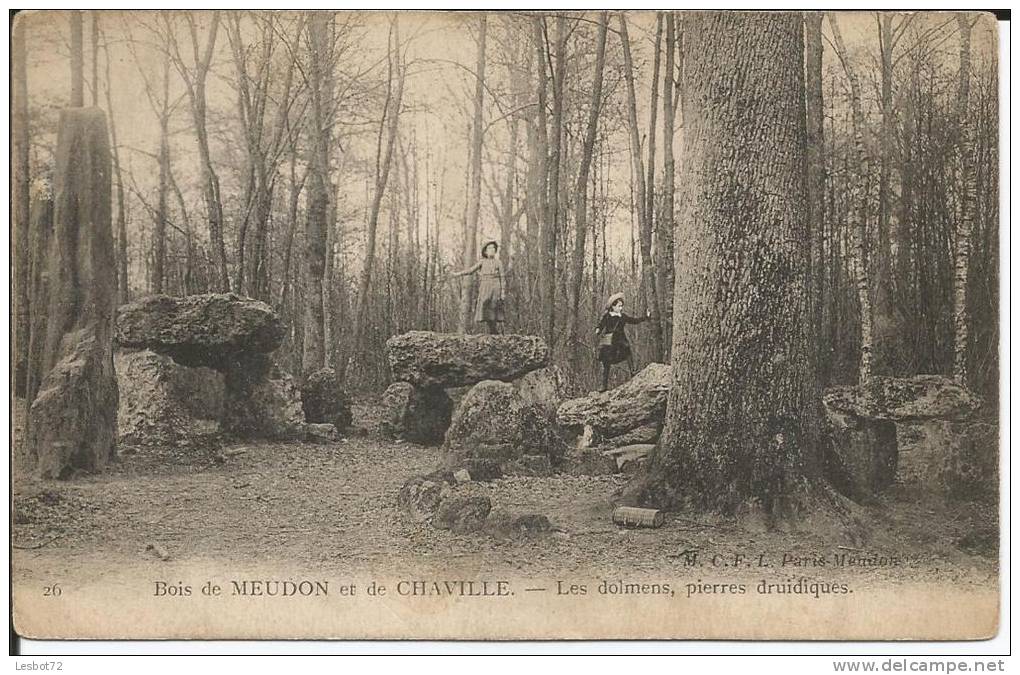 Cpa, Bois De Meudon Et De Chaville (Hauts De Seine), Les Dolmens, Pierres Druidiques, Animée - Otros & Sin Clasificación