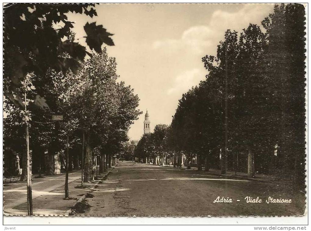 VENETO - ADRIA (ROVIGO) - Viale Stazione - VG 1950 - Rovigo