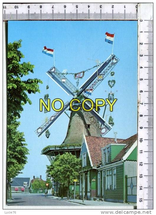 ZAANDIJK  - Molen  "  De Dood "  In Feestooi  - MOULIN - Zaanstreek