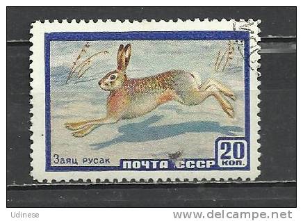 USSR 1960 - RABBIT- USED OBLITERE GESTEMPELT USADO - Rabbits
