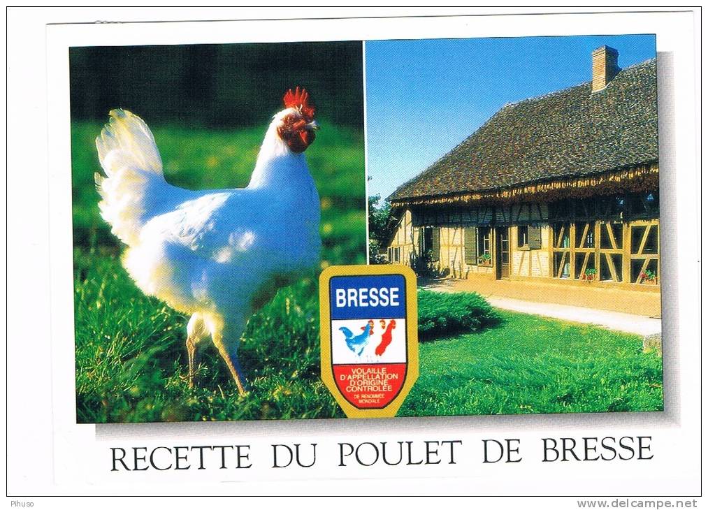 CHICKEN : Recette Du POULET DE BRESSE - Recipes (cooking)