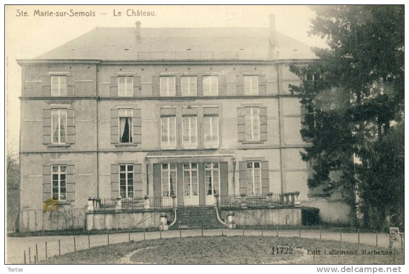 Ste Marie-sur-Semois - Le Château ( Voir Verso ) - Etalle
