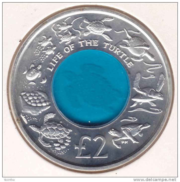 INDIA   2009  2 Pond   Indian Ocean Territory   Turtle   Proof - Britse Caribische Gebieden