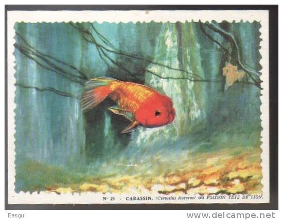 Lot De 13 Cartes Pré-decoupées Pub Biscottes Reinette, Poissons, Oceanrama - Animaux