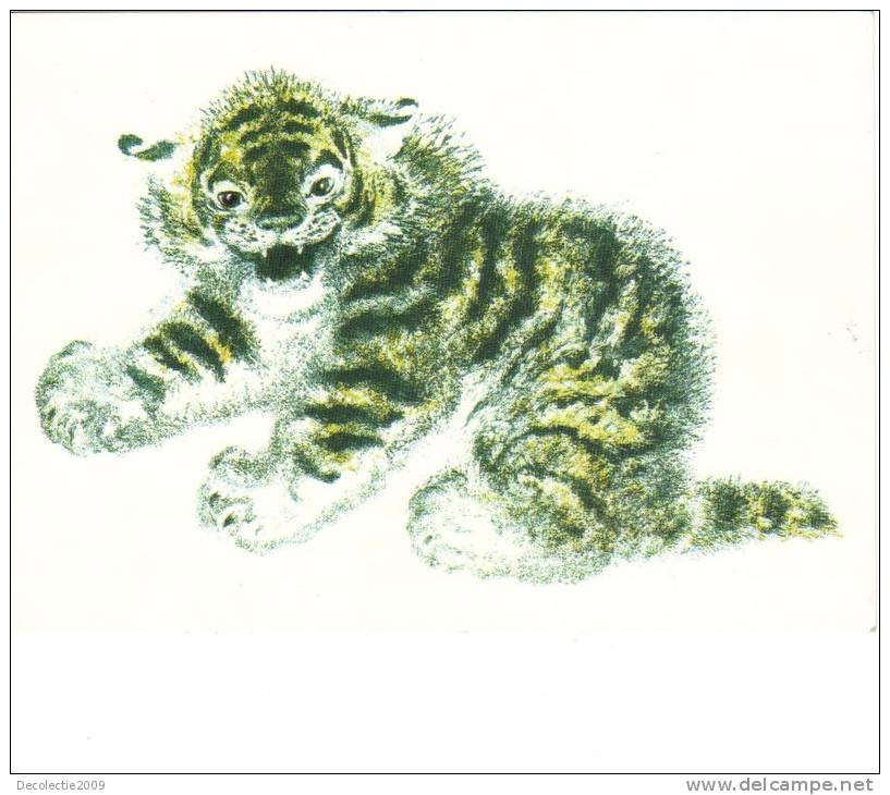 BC61108 Animals Animaux Tiger Tigre Puppy Not Used Perfect Shape Back Scan At Request - Tiger