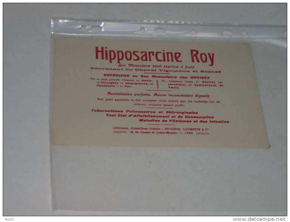 BUVARD HIPPOSARCINE ROY Lyon - P