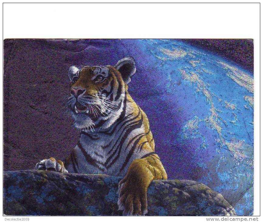 BC61198 Animals Animaux Tigre Tiger Used Perfect Shape Back Scan At Request - Tigri