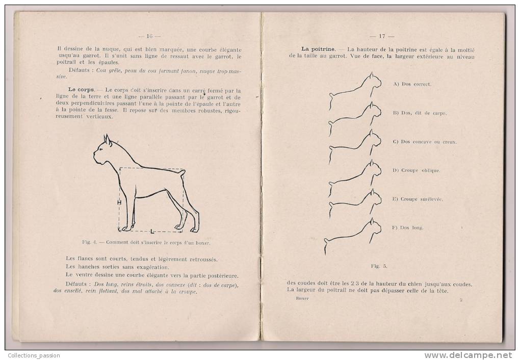 Livre , Calin Et Bon... Brave Et Franc... Voici LE BOXER , 1961 , 64 Pages , 4 Scans , Frais : 3€ - Animales