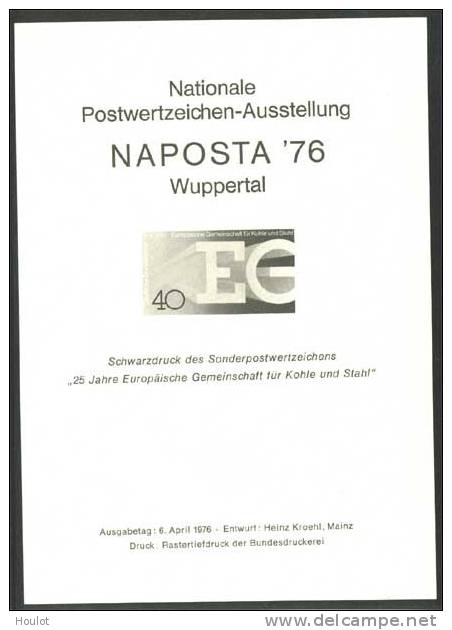 Bund Mi. N° 850 , Offizieller Schwarzdruck Der Nationalen Postwertzeichenausstellung NAPOSTA ´76 - Plaatfouten En Curiosa