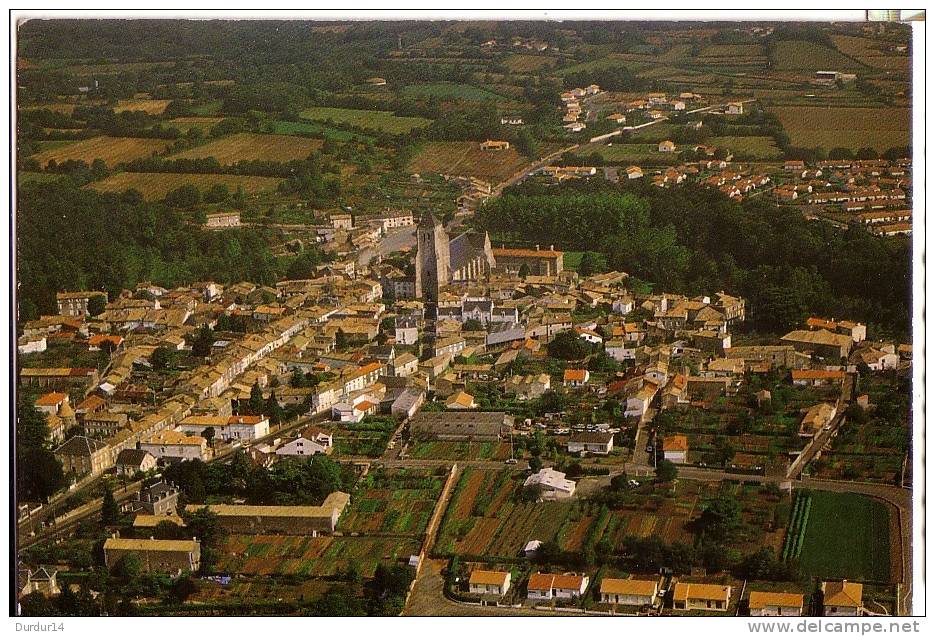 CELLES-SUR-BELLE  ( Deux-Sèvres )  Vue D'ensemble - Celles-sur-Belle